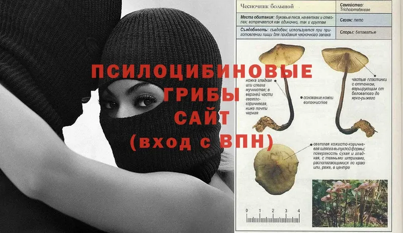 Галлюциногенные грибы ЛСД  Орлов 